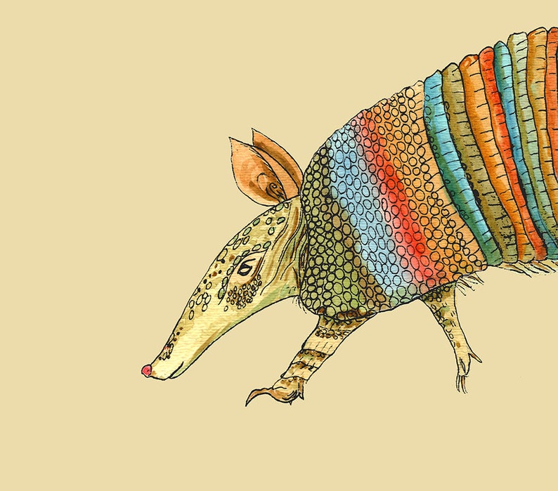 May include: A colorful illustration of an armadillo with a rainbow-colored shell. The armadillo is drawn in a cartoon style with a long snout and small eyes.