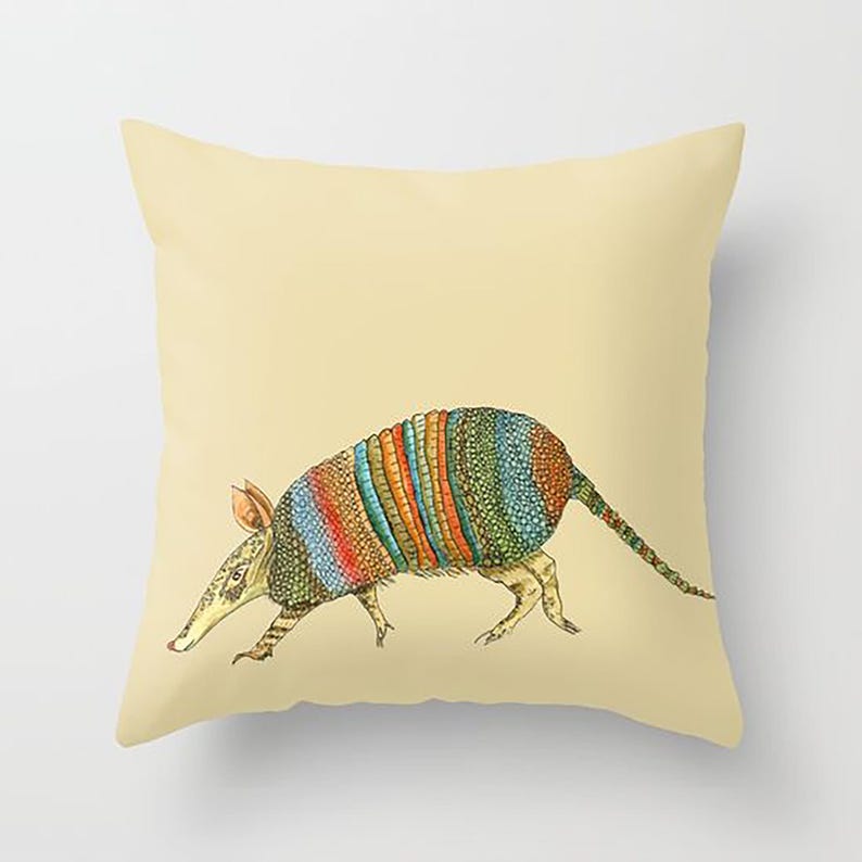 Armadillow Pillow, Throw Pillow, desert tones, terra cotta turquoise, olive, modern, Southwestern decor, cushions image 1