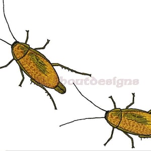 Peut inclure: Deux cafards bruns avec des marques jaunes sur leur corps. Les cafards sont tournés dans des directions différentes et ont de longues antennes.