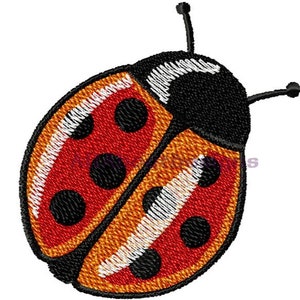 Può includere: Una coccinella rossa e arancione con macchie nere e dettagli bianchi. La coccinella è ricamata e ha una testa nera.