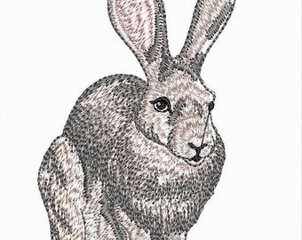 Jack Rabbit Machine Embroidery design files - FORMAT: Dst - exp - hus - jef - pes - vip - vp3 - xxx - 5x7 hoop