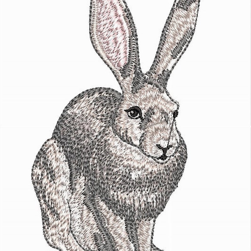 Stencil Jack Rabbit Jack Rabbit - Etsy