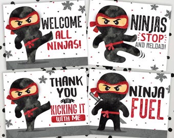 Ninja Birthday Signs: Martial Arts Party Decor (digital file)