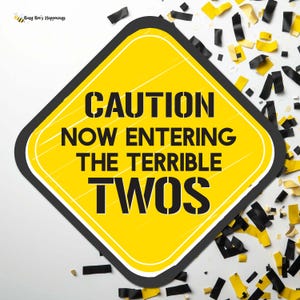 Terrible Twos Konstruktionsschild: Geburtstagsparty Dekor (Digitale Datei)