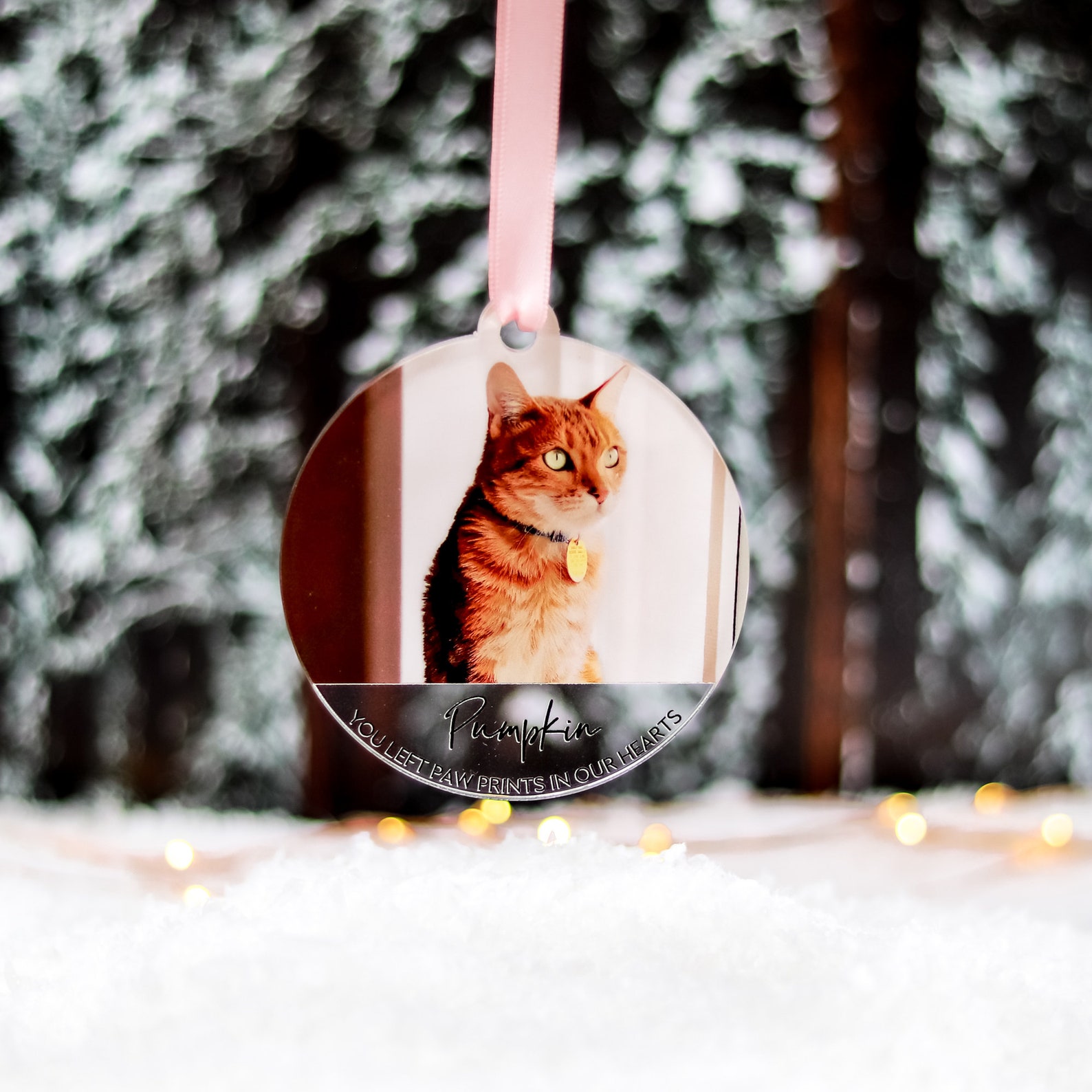 Cat Memorial Ornament Christmas Photo Ornaments Cat Lover Etsy UK