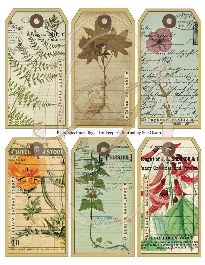 printable plant specimen tags for junk journals planners etsy