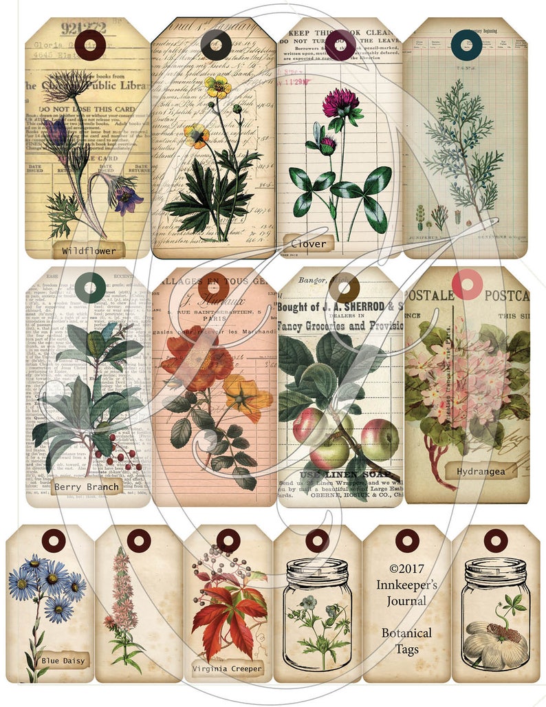 Printable Vintage Botanical Tags Junk Journals Planners Gift Tags Travelers Notebooks Scrapbooking Digital Download image 2