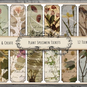 Printable Plant Specimen Tickets for Junk Journals Planners Travelers Notebooks Scrap Booking or Gift Tags