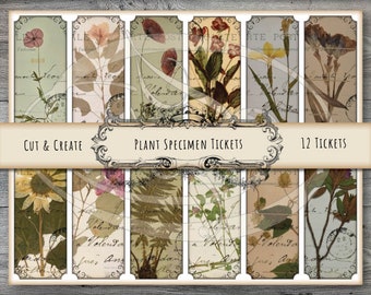 Printable Plant Specimen Tickets for Junk Journals Planners Travelers Notebooks Scrap Booking or Gift Tags