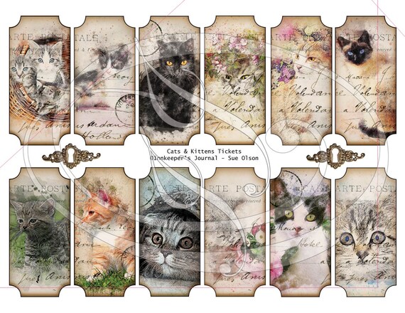 Kitten's Journal Postcard Kitten's Journal Postcard