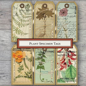 Etiquettes imprimables pour spécimens de plantes pour carnets de voyage, agendas, étiquettes cadeaux, voyageur, carnets de notes et scrapbooking, téléchargement numérique