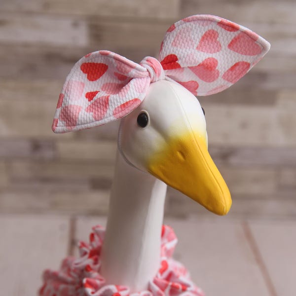 All the Hearts, Valentine Goose Outfit: Made to Order
