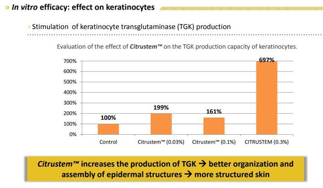 Citrustem Orange Stem Cells Serum SPECIAL PRICE Etsy
