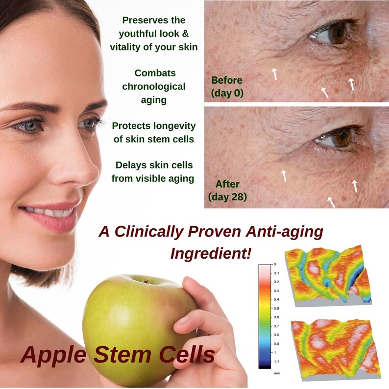 3x Stem Cell Recovery Elixir 1.2 oz image 1