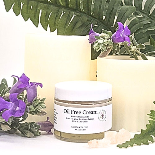 Organic Oil-Free Niacinamide Face Cream with Green Tea MSM Vegan  2.5 oz