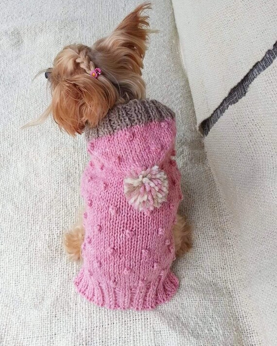 dog popcorn hoodie