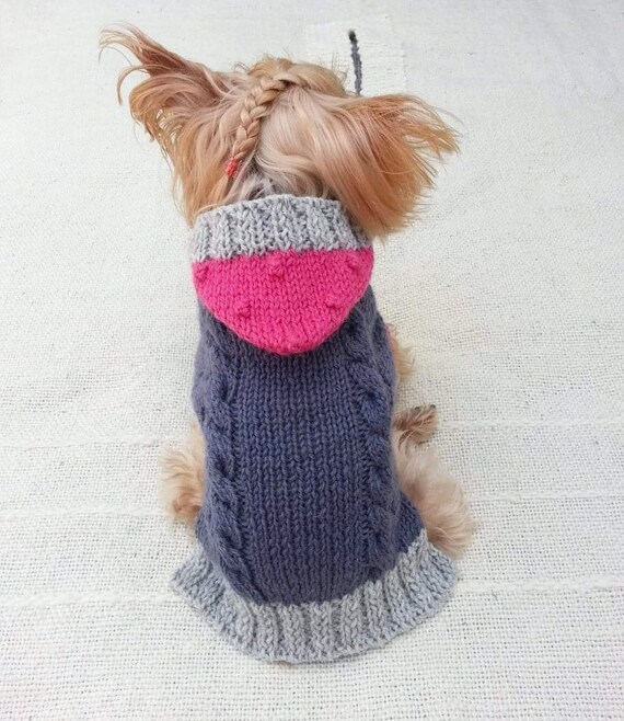 dog popcorn hoodie