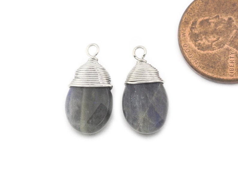 Polished Original Rhodium Plated 2 Pcs DG068-PR-LB Labradorite Gemstone Pendant Jewelry Craft Supplies