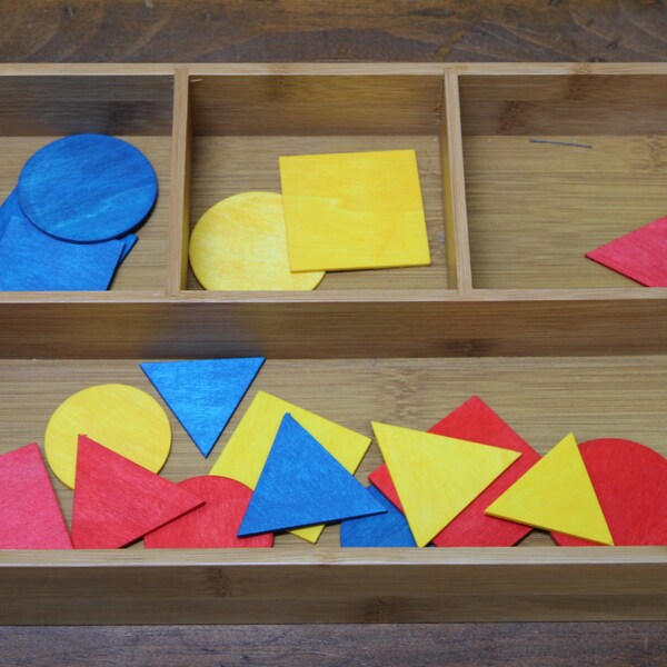 Montessori Tray - Color and Shape Sort Work