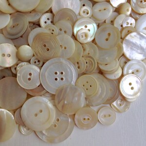 Mother-of-Pearl Button Assortment, Vintage, Mixed MOP & Shell Sizes and Types, 1 Cup 325 pcs, Collect or Craft image 6