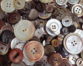 Oyster-Abalone Shell Buttons, Vintage, Assorted Mixed Size & Type, Natural Dark Iridescent Shell, 1 Cup (225 pcs), Collect or Craft