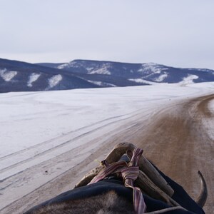 On The Ox Cart. Fotografia podróżnicza. Wystrój domu. Sztuka ścienna. Krajobraz. Wydruk artystyczny. Fotografia przyrodnicza. Fotografia podróżnicza. Mongolia.