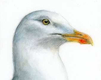 Original Artwork - A4 Watercolour and Pastel Portrait of a Seagull by Animal Artist Belinda Elliott