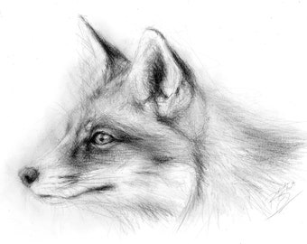 Oeuvre d'art originale - dessin au crayon A4 d'un renard par l'artiste animalière Belinda Elliott