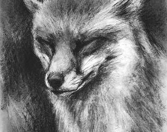 Oeuvre d'art originale - Portrait d'un renard au fusain A3 par l'artiste animalière Belinda Elliott