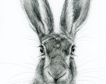 Disegno di una lepre - Opera originale - Matita di grafite - Formato A4