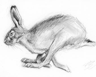 Original Artwork - A4 Pencil Drawing of a Hare by Animal Artist Belinda Elliott