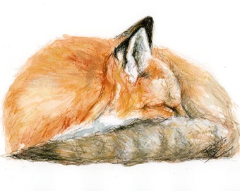 Oeuvre d'art originale - aquarelle A4 et portrait pastel d'un renard par l'artiste animalière Belinda Elliott