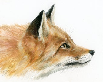 Obra de arte original - Dibujo en colores pastel A4 de un zorro por la artista animal Belinda Elliott