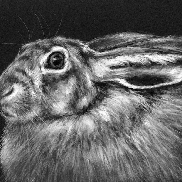 Hare Drawing - ORIGINAL ARTWORK in Pastel and Charcoal - A4 size