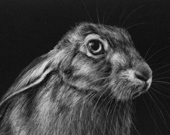 Hare Drawing - ORIGINAL ARTWORK in Pastel and Charcoal - A4 size