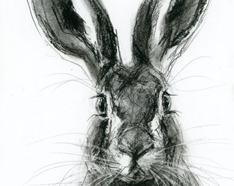 Original Artwork - A4 Charcoal Drawing of a Hare by Animal Artist Belinda Elliott