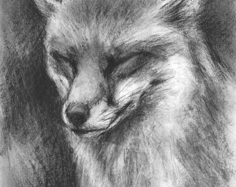 Original Artwork - A3 Charcoal Portrait of a Fox by Animal Artist Belinda Elliott