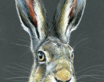 Dibujo a lápiz pastel de una liebre - Tamaño A4