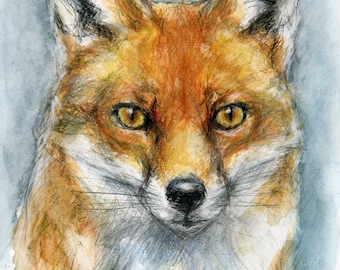 Original Artwork - A4 Watercolour Portrait of a Fox by Animal Artist Belinda Elliott