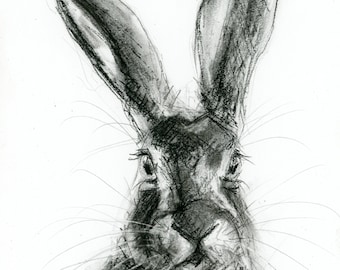 Original Artwork - A4 Charcoal Drawing of a Hare by Animal Artist Belinda Elliott