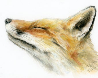 Oeuvre d'art originale - dessin au pastel A4 d'un renard par l'artiste animalière Belinda Elliott