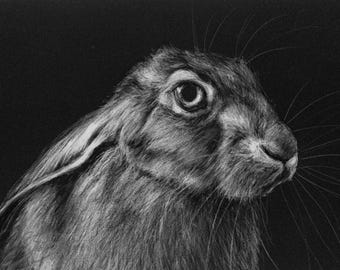 Hare Drawing - ORIGINAL ARTWORK in Pastel and Charcoal - A4 size
