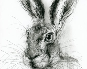 Original Artwork - A4 Charcoal Drawing of a Hare by Animal Artist Belinda Elliott