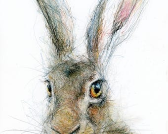 Original Artwork - A4 Pastel and Coloured Pencil Portrait of a Hare