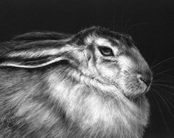 Hare Drawing - A4 size ORIGINAL ARTWORK in Pastel Pencil - grey tones on black