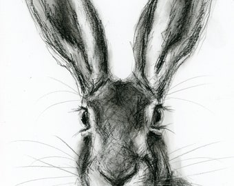 Original Artwork - A4 Charcoal Drawing of a Hare by Animal Artist Belinda Elliott