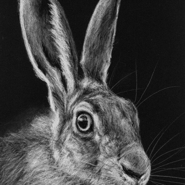 Hare Drawing - ORIGINAL ARTWORK in Pastel and Charcoal - A4 size