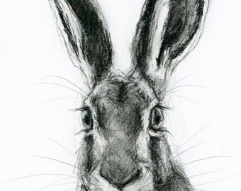 Oeuvre d'art originale - dessin au fusain A4 d'un lièvre par l'artiste animalière Belinda Elliott