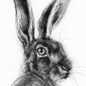 オリジナルアートワーク - A4 グラファイト鉛筆によるキツネの絵