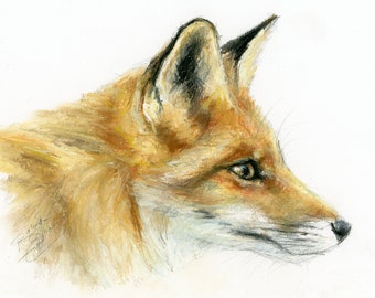 Oeuvre d'art originale - dessin au pastel A4 d'un renard par l'artiste animalière Belinda Elliott